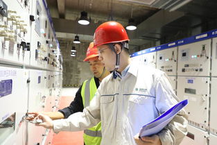 仅用168个工作日 特斯拉电力配套项目正式送电，网络技术服务助力高效落地